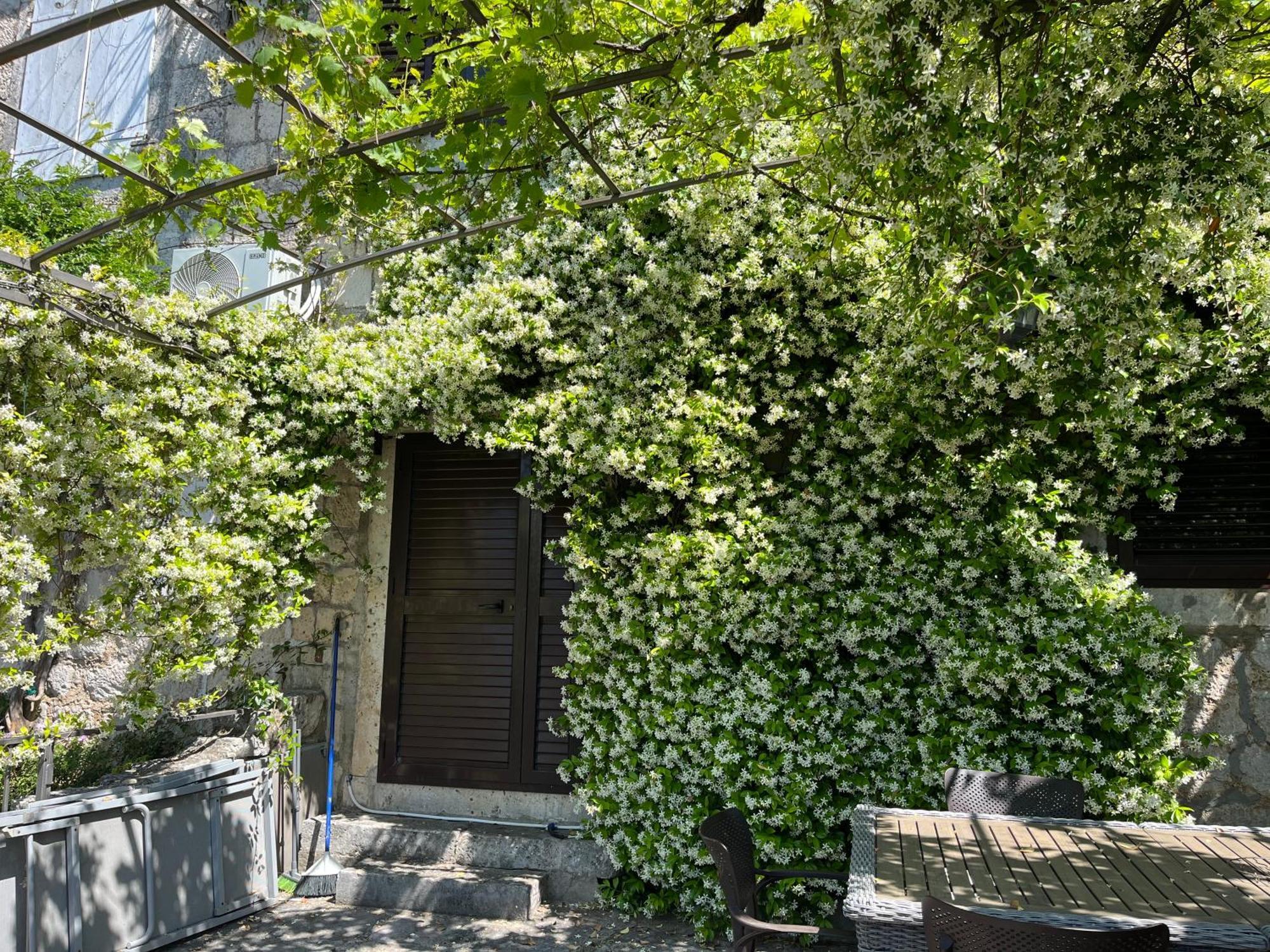 Be Happy In Perast Apartment Luaran gambar
